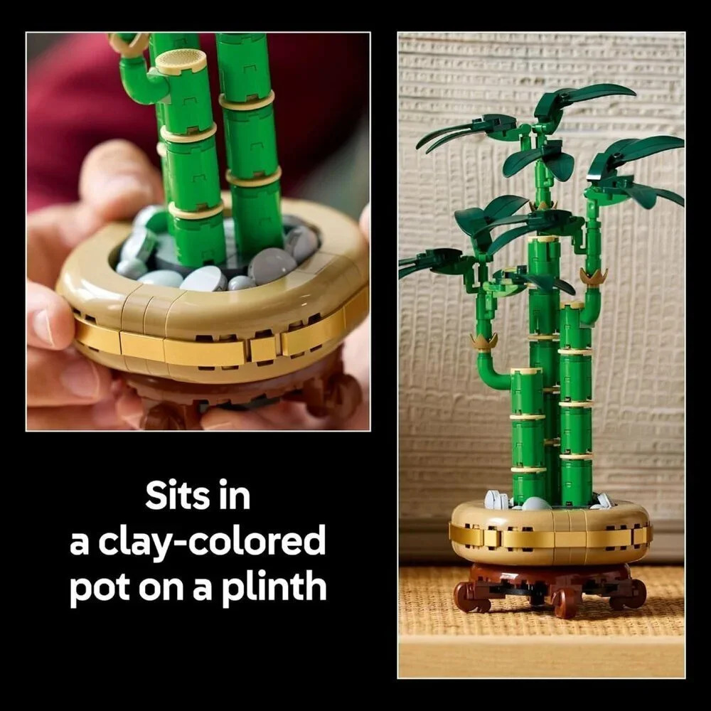 N/A buildable plant